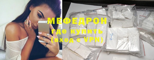 индика Арсеньев
