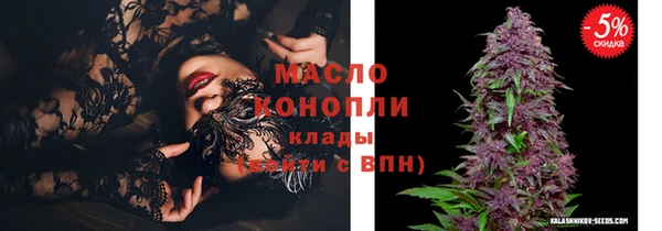 индика Арсеньев