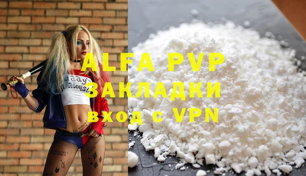 индика Арсеньев