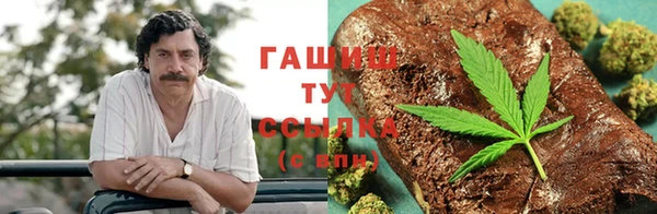 индика Арсеньев