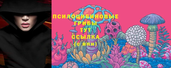 spice Балахна