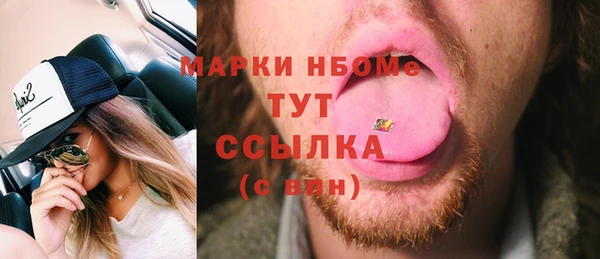 индика Арсеньев