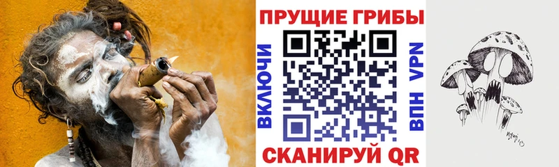 Псилоцибиновые грибы прущие грибы  Плёс 